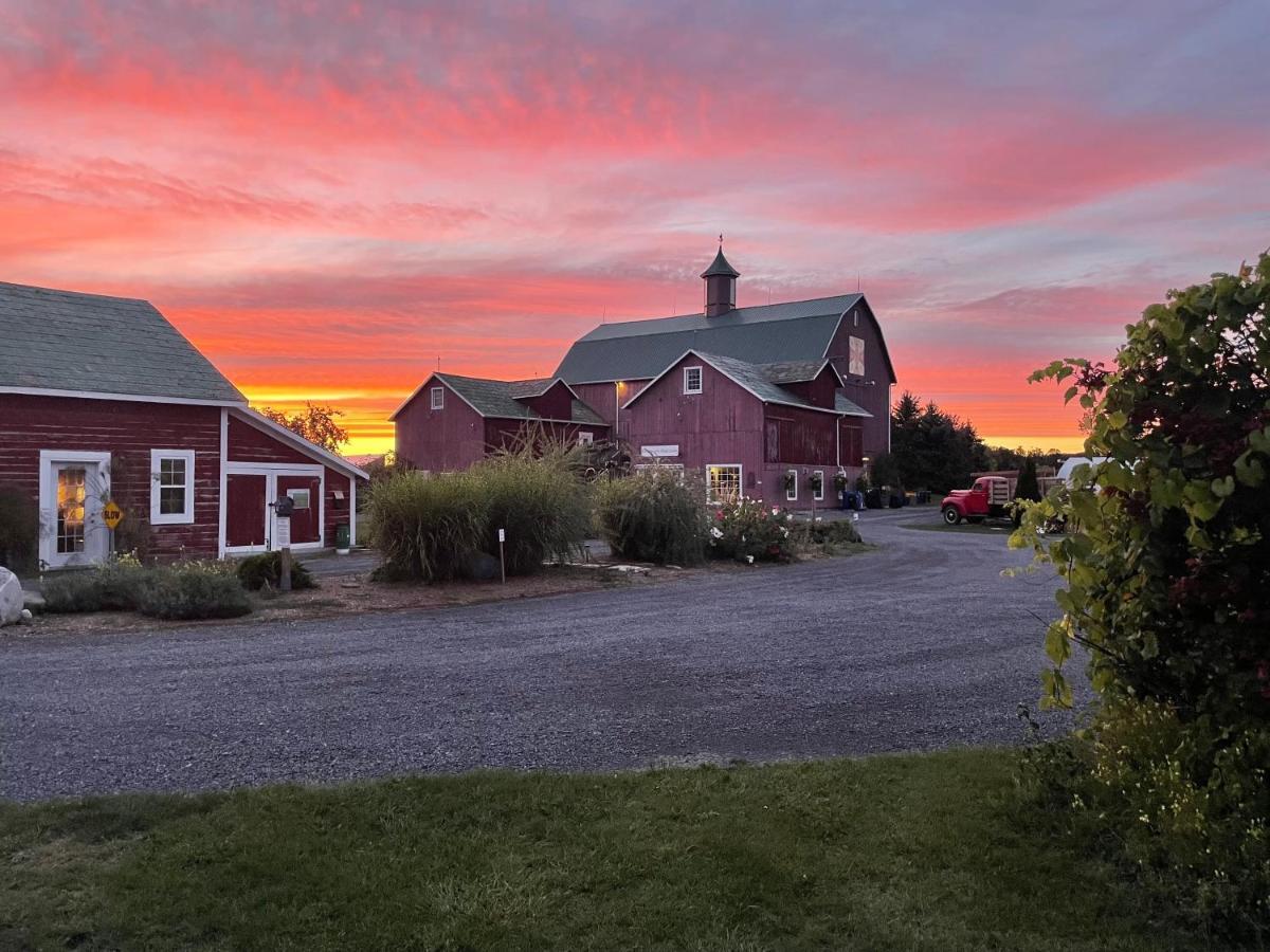 The Eddie Hotel And Farm Bloomfield Экстерьер фото